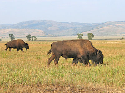 Nat&uuml;rliche Br&uuml;cke in W&uuml;ste