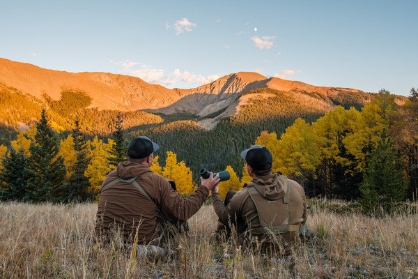 Swarovski AT Balance ST Balance